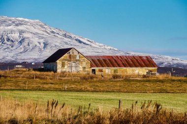 Manzara İzlanda'daki Thingvellir Milli Parkı