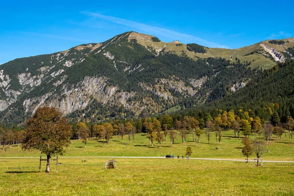 Árvores de ácer em Ahornboden, Karwendel montanhas, Tirol, Áustria — Fotografia de Stock