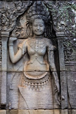 Angkor Wat Tapınağı Siem Reap, Kamboçya karmaşık olduğunu.
