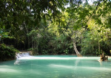 Luang Prabang yakınlarındaki Tat Kuang Si şelaleler, Laos