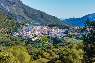 Cortes de la Frontera, Malaga Eyaleti, Endülüs, İspanya, Batı Avrupa.