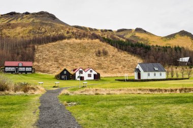 Izlanda, Avrupa 'da Skogar köyünde Izlanda evlerin tipik görünümü.