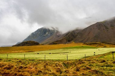 Güney Doğu Izlanda Hoefn çevresindeki güzel ve yeşil alan