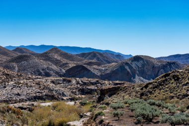 Tabernas çölü, İspanyol Desierto de Tabernas, Endülüs, İspanya