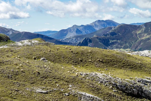 Fuente De Picos de Europa, Cantabria, İspanya içinde dağlarında