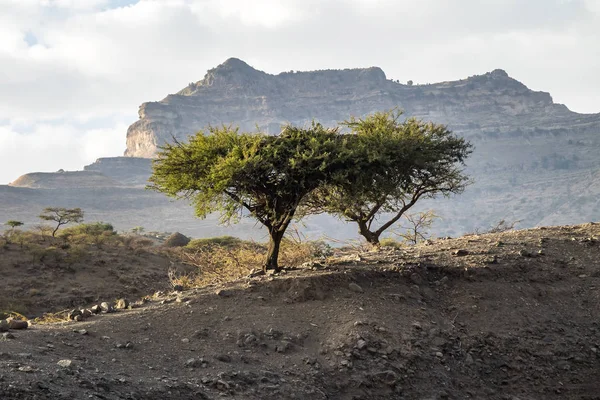 Paisaje entre Gheralta y Lalibela en Tigray, Etiopía, África — Foto de Stock