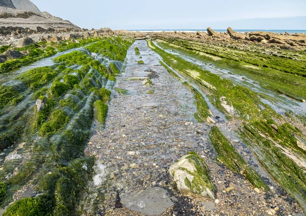 The Flysch Coast of Sakoneta, Zumaia - Basque Country, Spain — Stock Photo, Image