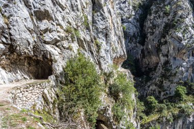 Bakımları trail garganta del Bakımı, Picos de Europa dağlar, İspanya