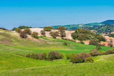 Madrigueras 'ın Sierra De Grazalema, Endülüs, İspanya' daki manzarası.