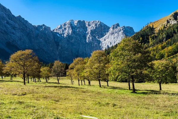 Akçaağaç, Ahornboden, Karwendel'de Dağları, Tyrol, Avusturya — Stok fotoğraf