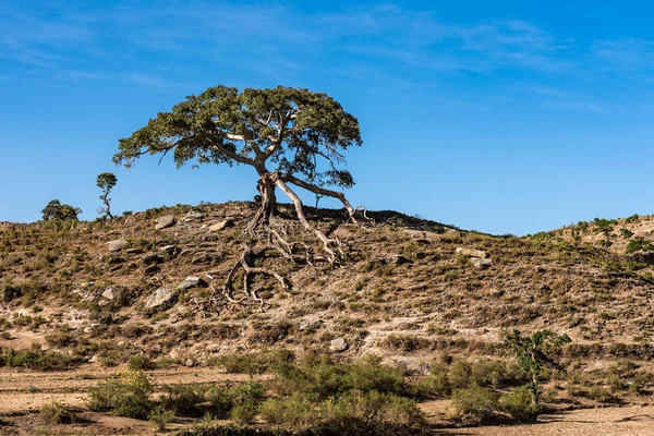 Landschaftsaufnahme des Affengebirgsnationalparks im Norden Äthiopiens — Stockfoto