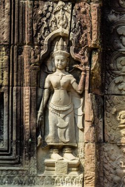 Ta Som Tapınağı Angkor Wat kompleksi, Kamboçya, Asya
