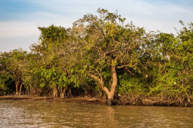 Kayan Köyü, Kamboçya, Tonle Sap, Koh Rong Adası.