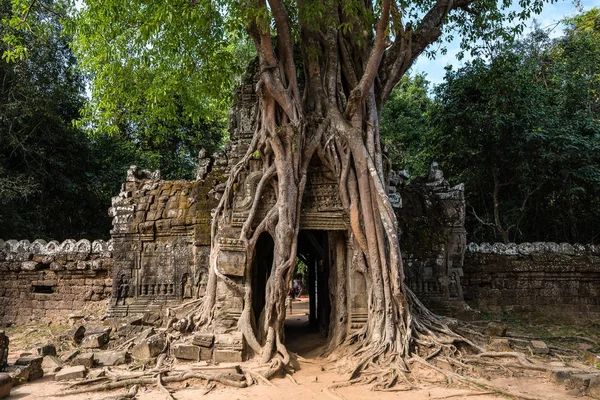 柬埔寨, 亚洲吴哥窟综合体的大松寺 — 图库照片