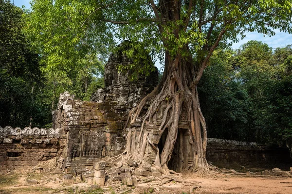 柬埔寨, 亚洲吴哥窟综合体的大松寺 — 图库照片