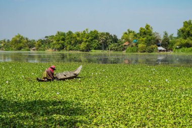 Güzel kırsal seyahat tropikal kırsal bölgesinde, Siem Reap, Kamboçya