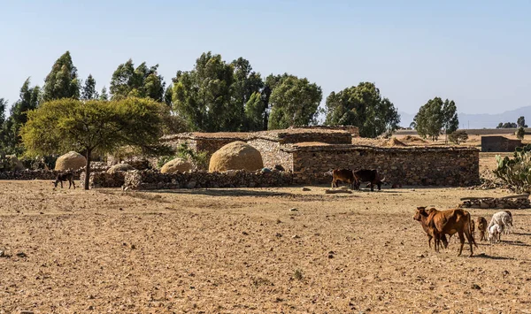 Paisaje en Gheralta en Tigray, norte de Etiopía . — Foto de Stock