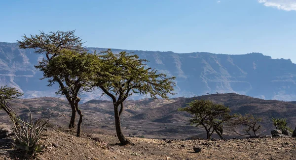 Paisaje en las tierras altas de Lalibela, Etiopía — Foto de Stock