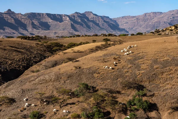 Paisaje en las tierras altas de Lalibela, Etiopía — Foto de Stock