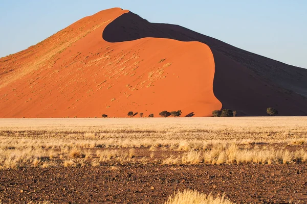 Namibya'daki Sossusvlei'nin tavasındaki kum tepeleri. Afrika.
