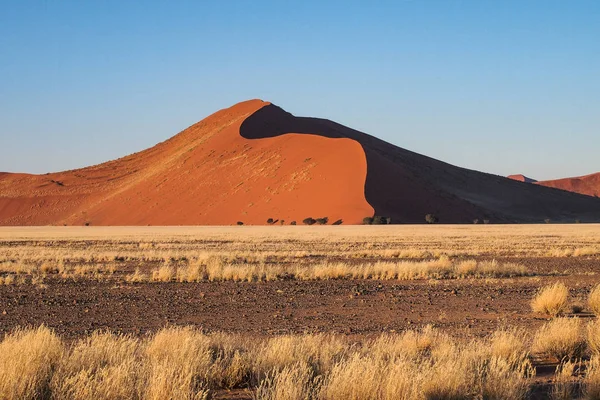 Namibya'daki Sossusvlei'nin tavasındaki kum tepeleri. Afrika.