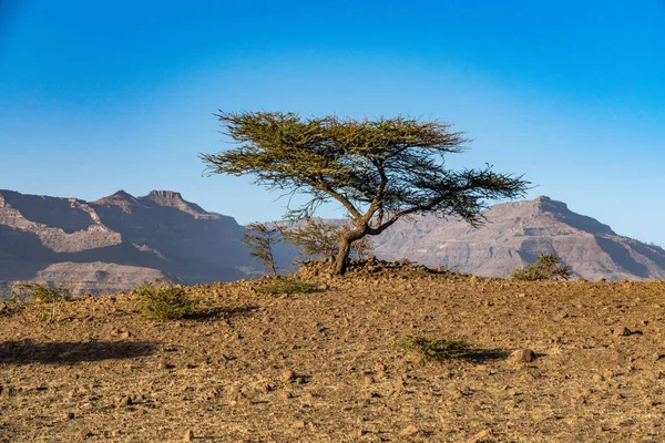 Paisaje en las tierras altas de Lalibela, Etiopía — Foto de Stock