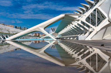 Valencia, İspanya 'da Sanat ve Bilim Şehri