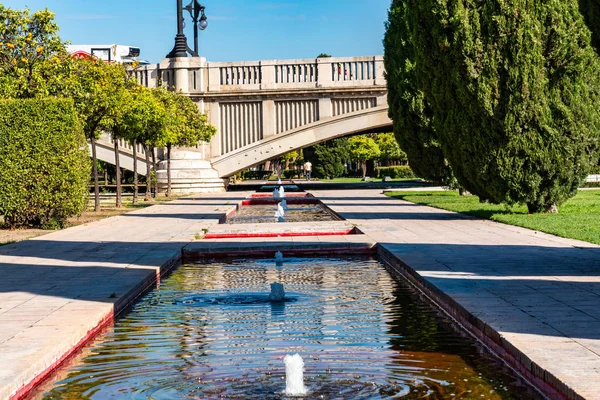 Tengeri menyasszony, Puente del Mar in Turia Garden Valenciában, Spanyolország — Stock Fotó