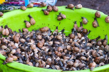 Marakeş'teki Çarşılar, Fas,. En büyük geleneksel pazar