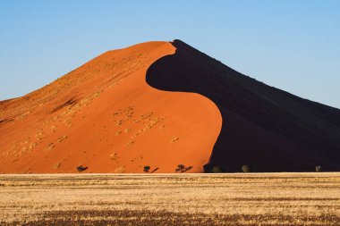 Namibya'daki Sossusvlei'nin tavasındaki kum tepeleri. Afrika.