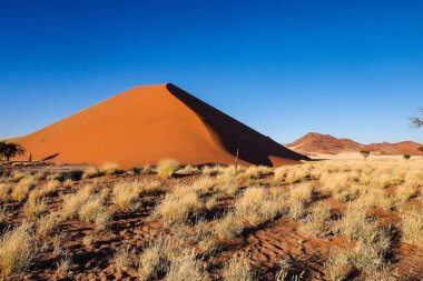 Namibya'daki Sossusvlei'nin tavasındaki kum tepeleri. Afrika.