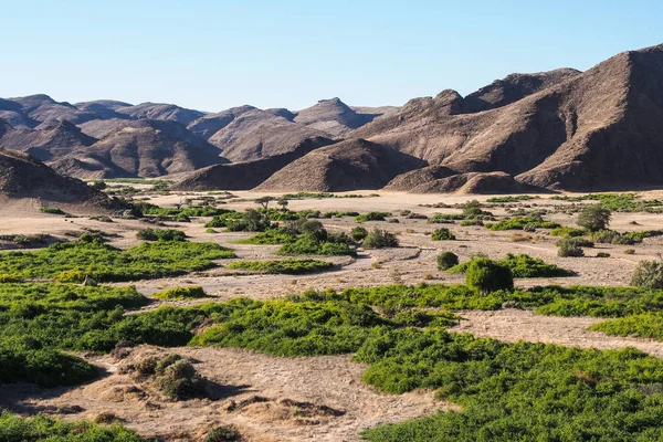 Landscape view of Wadi Huanib in Namibia — Stock Photo, Image