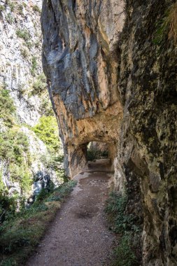 Bakımları trail garganta del Bakımı, Picos de Europa dağlar, İspanya