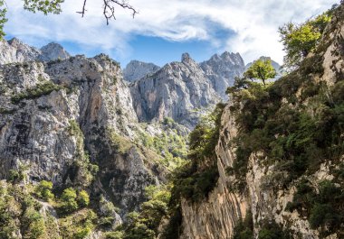 Bakımları trail garganta del Bakımı, Picos de Europa dağlar, İspanya