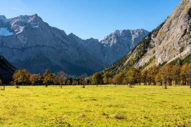 akçaağaç, Ahornboden, Karwendel'de Dağları, Tyrol, Avusturya