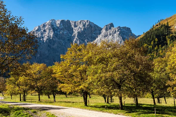 Akçaağaç, Ahornboden, Karwendel'de Dağları, Tyrol, Avusturya — Stok fotoğraf