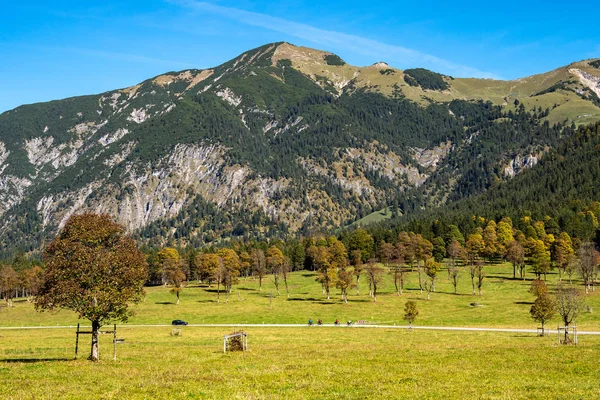 Árboles de arce en Ahornboden, montañas de Karwendel, Tirol, Austria —  Fotos de Stock