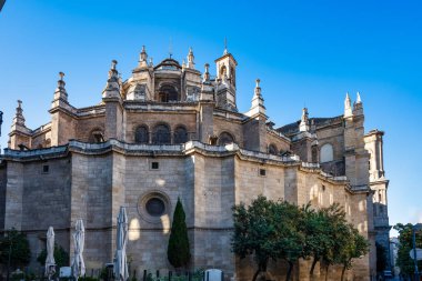 Granada şehrindeki Enkarnasyon Katedrali. Endülüs, İspanya.