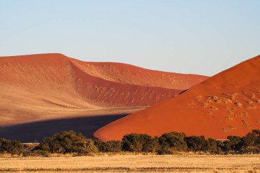 Namibya'daki Sossusvlei'nin tavasındaki kum tepeleri. Afrika.