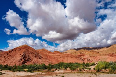 güzel Rose Valley - Vallee des Roses, Ouarzazate, M yakınında