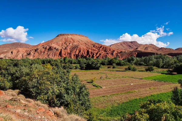 Gorge de Dades est une gorge de la rivière Dades dans les montagnes de l'Atlas à Moro — Photo