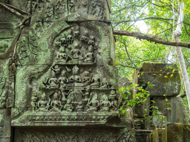 Orman, Kamboçya üzerinden eski Beng Mealea Tapınağı kalıntıları.