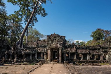 Siem Reap, Kamboçya'da karmaşık Angkor Wat Tapınağı Preah Khan