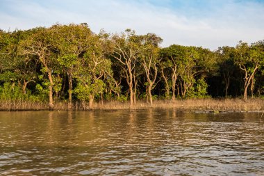 Kayan Köyü, Kamboçya, Tonle Sap, Koh Rong Adası.