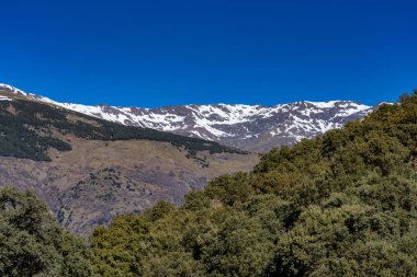 La Alpujarra Granadina 'da Bubion, Sierra Nevada, İspanya.