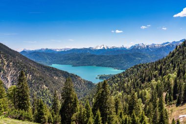 Bavyera Alpleri'ndeki Walchensee Gölü manzarası, Almanya