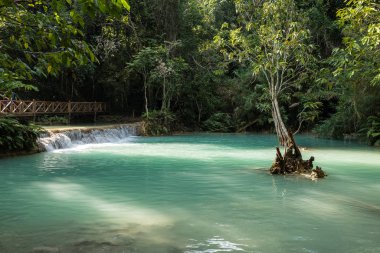 Luang Prabang yakınlarındaki Tat Kuang Si şelaleler, Laos