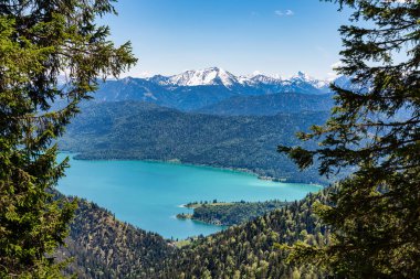 Bavyera Alpleri'ndeki Walchensee Gölü manzarası, Almanya
