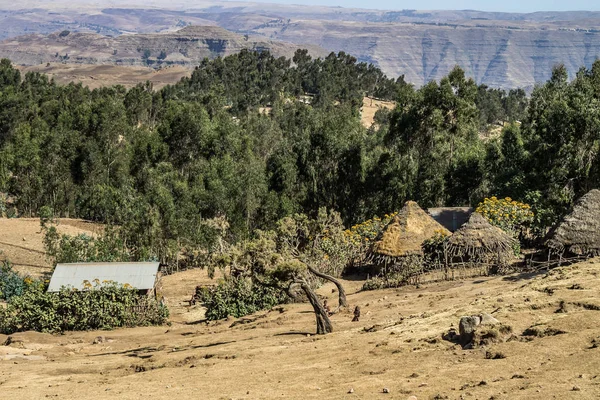 Landschaftsaufnahme des Affengebirgsnationalparks im Norden Äthiopiens — Stockfoto