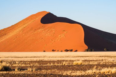 Namibya'daki Sossusvlei'nin tavasındaki kum tepeleri. Afrika.